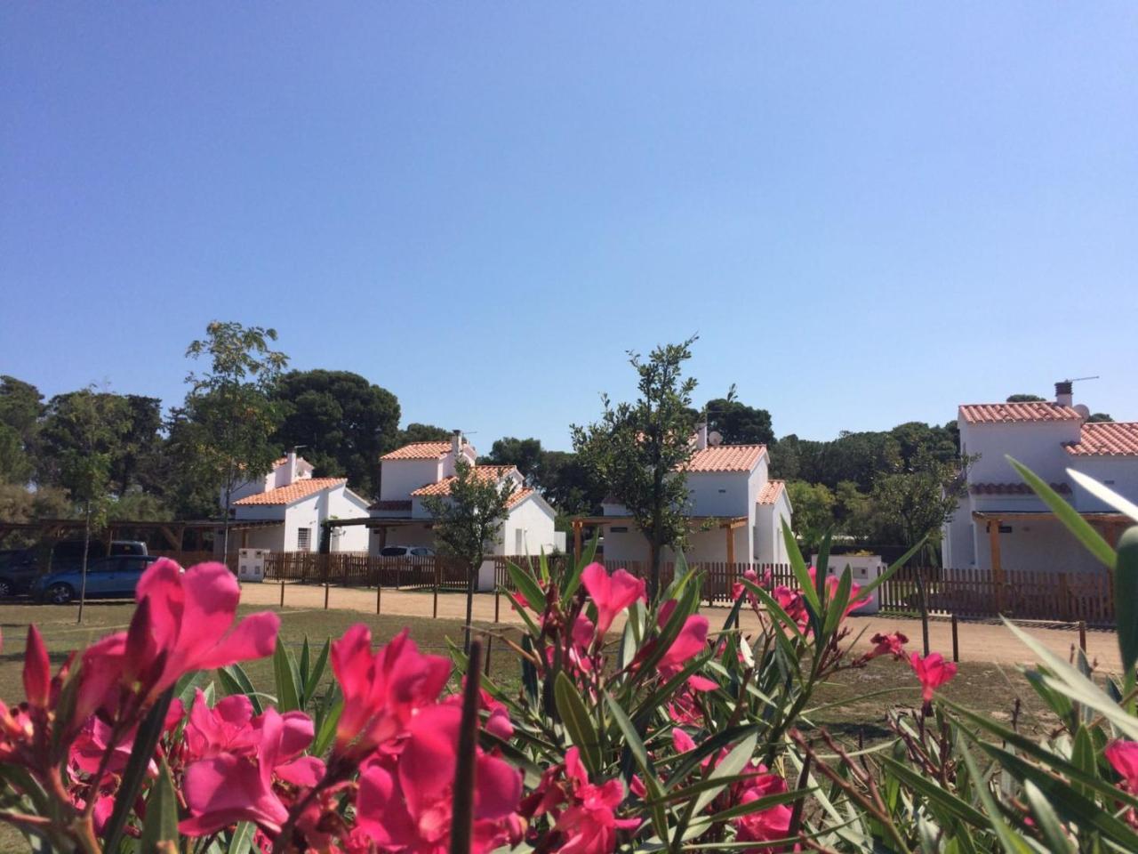 Villas Empuries, Garden & Private Pool Sant Marti d'Empuries Buitenkant foto